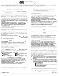 Document preview: Form HFS2189 (IL478-1071) Sterilization Consent Form - Illinois