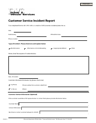 Form DVSM-20 &quot;Customer Service Incident Report&quot; - Minnesota