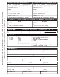 Form DV-001 Standard Domestic Relationship Incident Report - Michigan, Page 2
