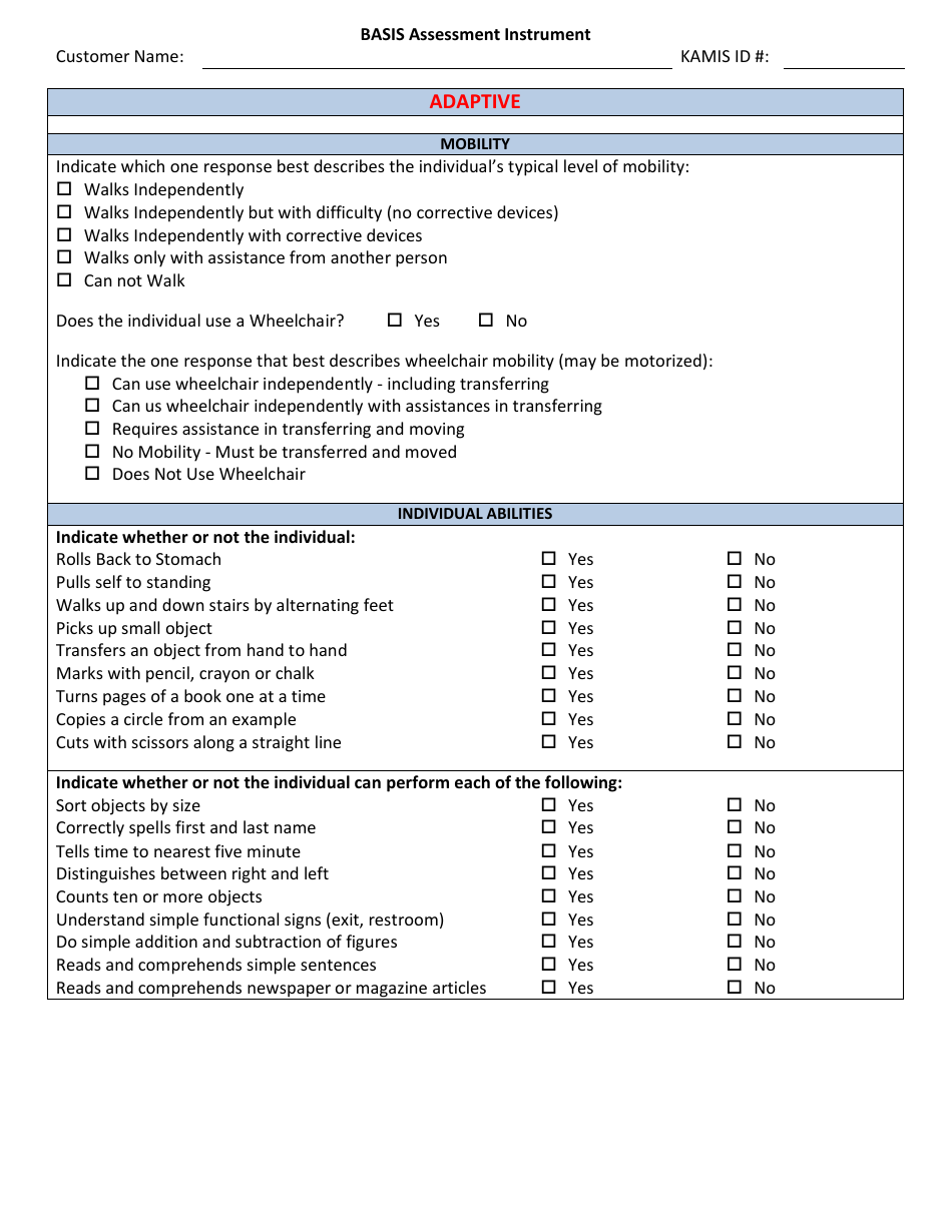 Basis Assessment Instrument - Kansas, Page 4