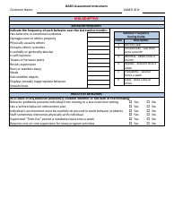 Basis Assessment Instrument - Kansas, Page 6