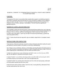 Instructions for Form CD-48 General Consent to Termination of Parental Rights and Consent to Adoption Form - Missouri