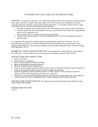 Document preview: Instructions for Form CD-191 Statement of Legal Risk - Missouri