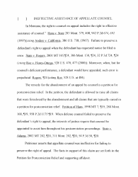 Petition for Postconviction Relief - Montana, Page 12