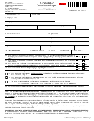Form MN RC01 &quot;Rehabilitation Consultation Report&quot; - Minnesota