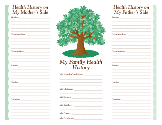 Form IOCI0024-10 Family Health History Record Keeper - Illinois, Page 2