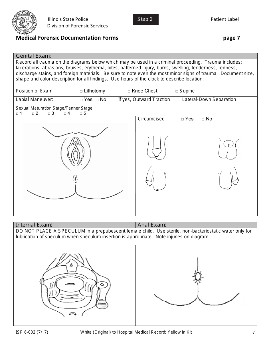 Form ISP6-002 Medical Forensic Documentation Forms - Illinois, Page 7
