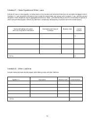 Biographical Information and Financial Report - Georgia (United States), Page 13