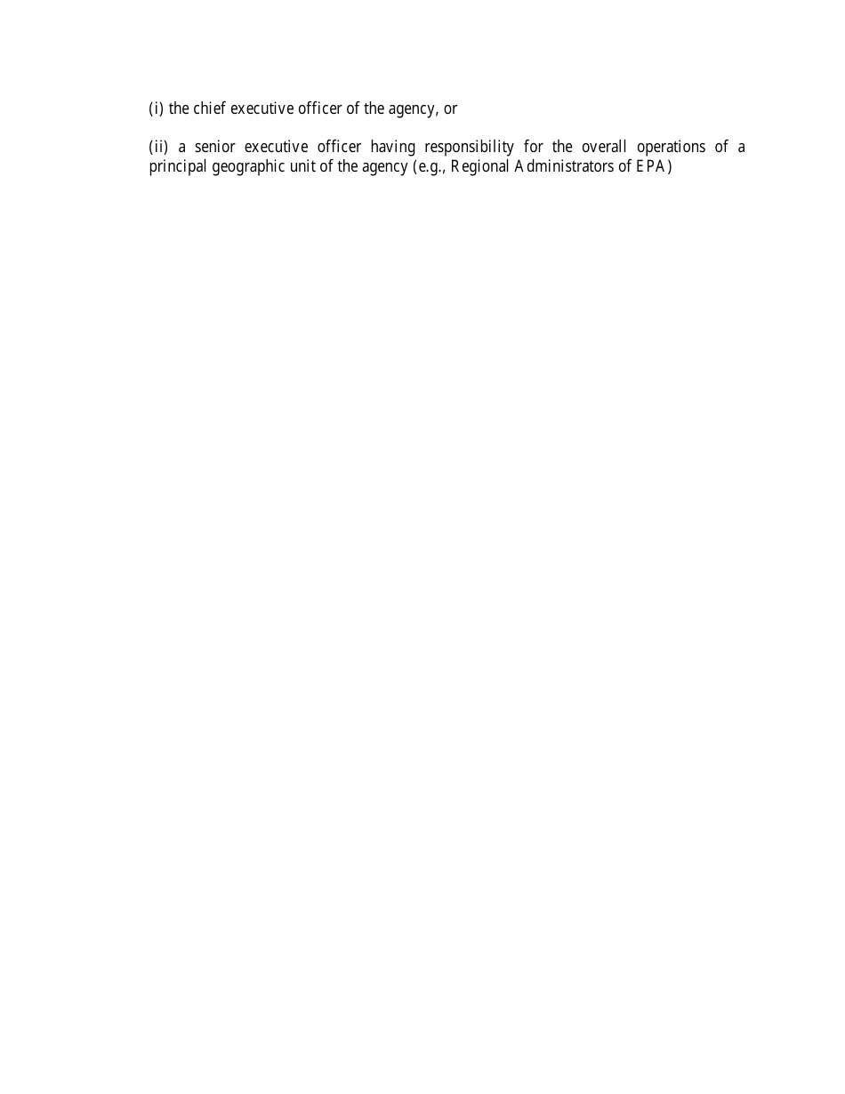 Responsible Official Authorization of Delegation - Georgia (United States), Page 3