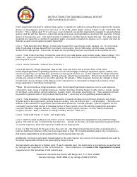 Document preview: Instructions for GBI Form B04 Georgia Bingo Annual Report - Georgia (United States)