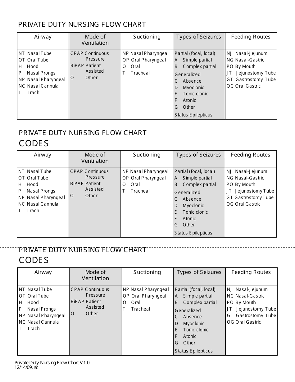 Private Duty Nursing Flow Chart - Idaho, Page 1