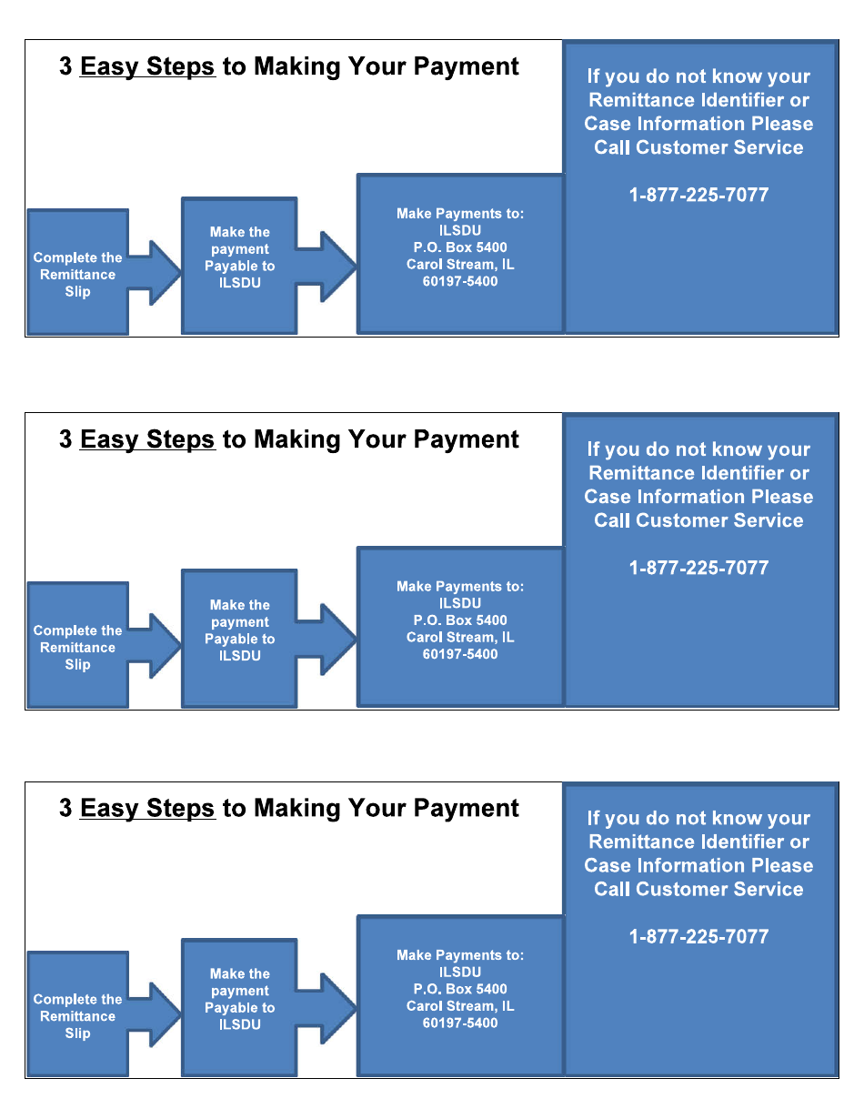 Form HFS2572A Sdu Payment Remittance Form - Illinois, Page 2