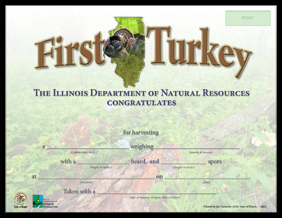 First Turkey Certificate - Illinois, Page 1