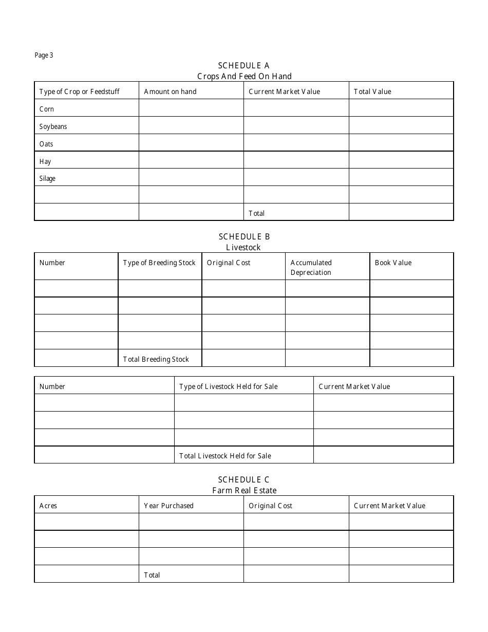 Form GD-2B Sole Proprietorship Financial Information Sheet - Iowa, Page 3
