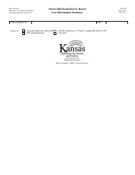 Form PPS0500 Case Information Summary - State Child Death Review Board - Kansas, Page 3