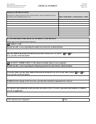 Form PPS0550 Critical Incident - Kansas, Page 3