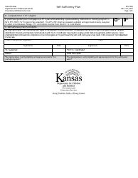 Form PPS7000 Self-sufficiency Plan - Kansas, Page 2