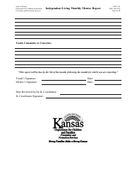 Form PPS7215 Independent Living Monthly Mentor Report - Kansas, Page 2