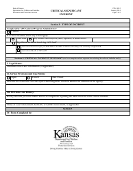 Form PPS10212 Critical/Significant Incident - Kansas, Page 2