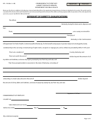 Document preview: Form DFS-336 Affidavit of Surety's Qualifications - Kentucky
