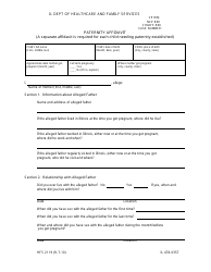 Document preview: Form HFS2119 (IL478-0357) Paternity Affidavit - Illinois