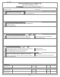 Critical Incident Form - Kentucky, Page 2