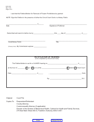 Form AOC-032 Petition/Motion for Removal of Firearm Prohibitions - Kentucky, Page 2