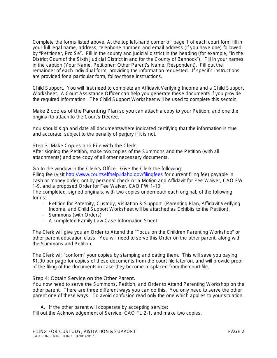 Instructions for Form CAO P1-2 Petition for Paternity, Custody, Visitation and Support - Idaho, Page 2