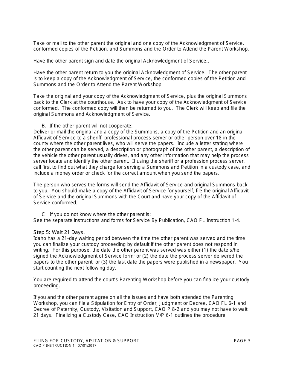 Instructions for Form CAO P1-2 Petition for Paternity, Custody, Visitation and Support - Idaho, Page 3