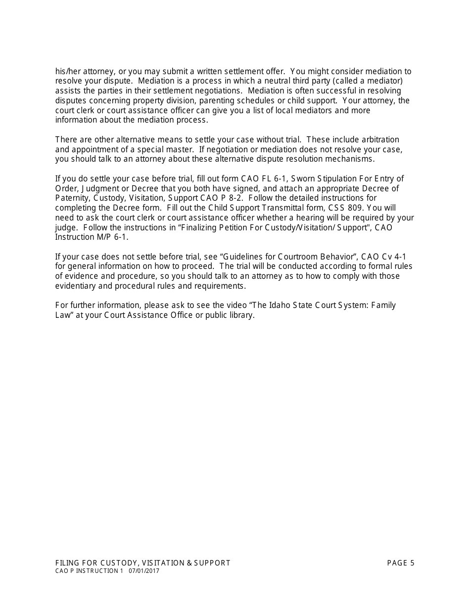 Instructions for Form CAO P1-2 Petition for Paternity, Custody, Visitation and Support - Idaho, Page 5