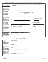 Form ABA-B2103.1 Appellant's Brief - Illinois