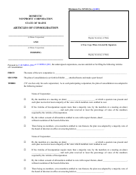 Form MNPCA-10A Articles of Consolidation - Maine