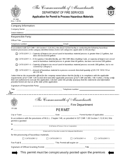 Form FP-300  Printable Pdf