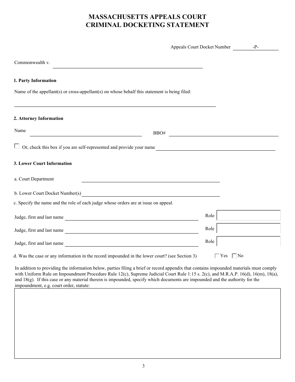 Criminal Docketing Statement Form - Massachusetts, Page 3