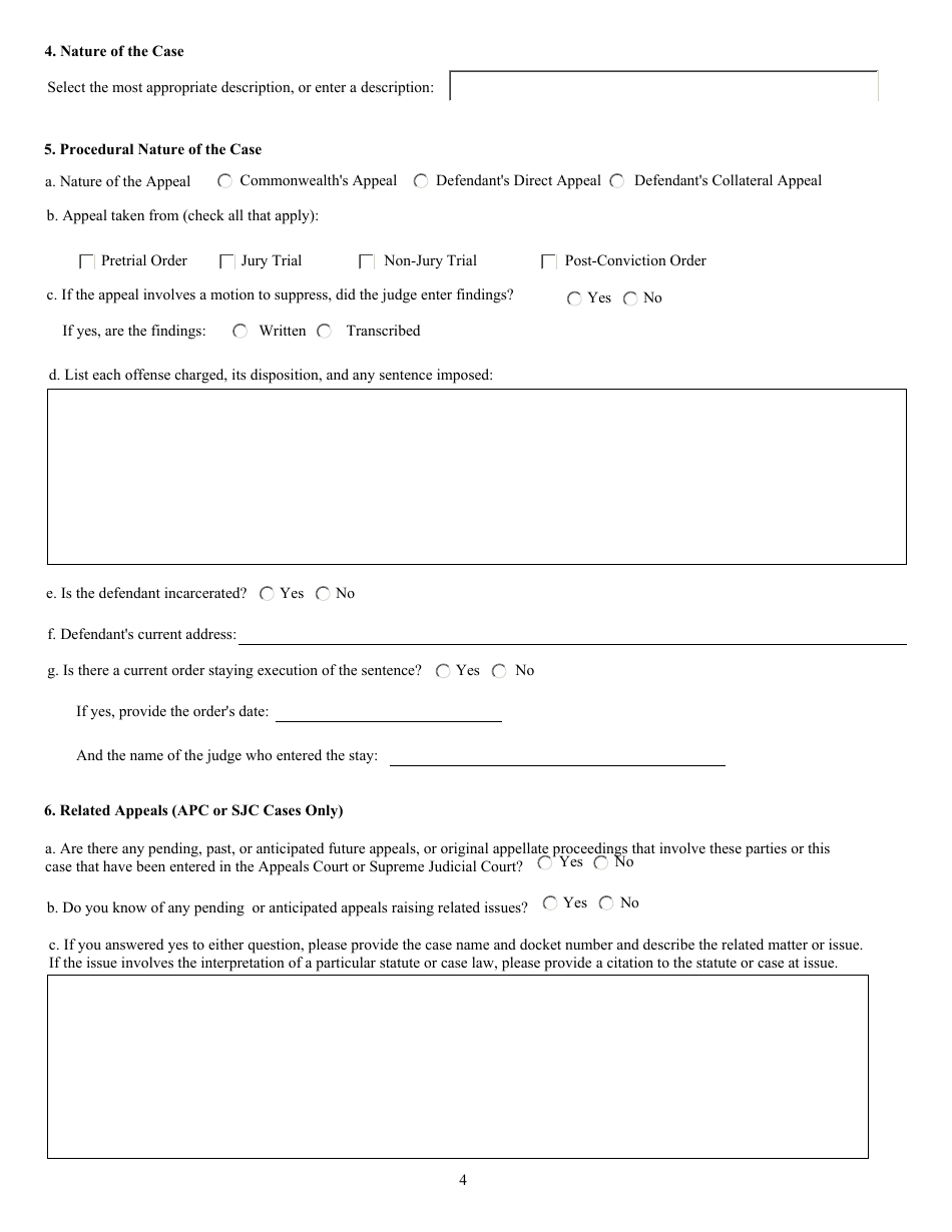 Criminal Docketing Statement Form - Massachusetts, Page 4