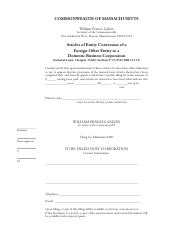 Articles of Entity Conversion of a Foreign Other Entity to a Domestic Business Corporation - Massachusetts, Page 4