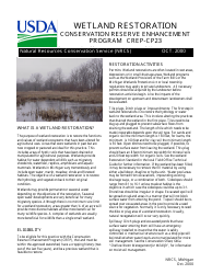 Form CP-23 Wetland Restoration Design Worksheet - Michigan