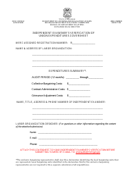 Document preview: Independent Examiner's Verification of Union Expenditures Coversheet - Michigan