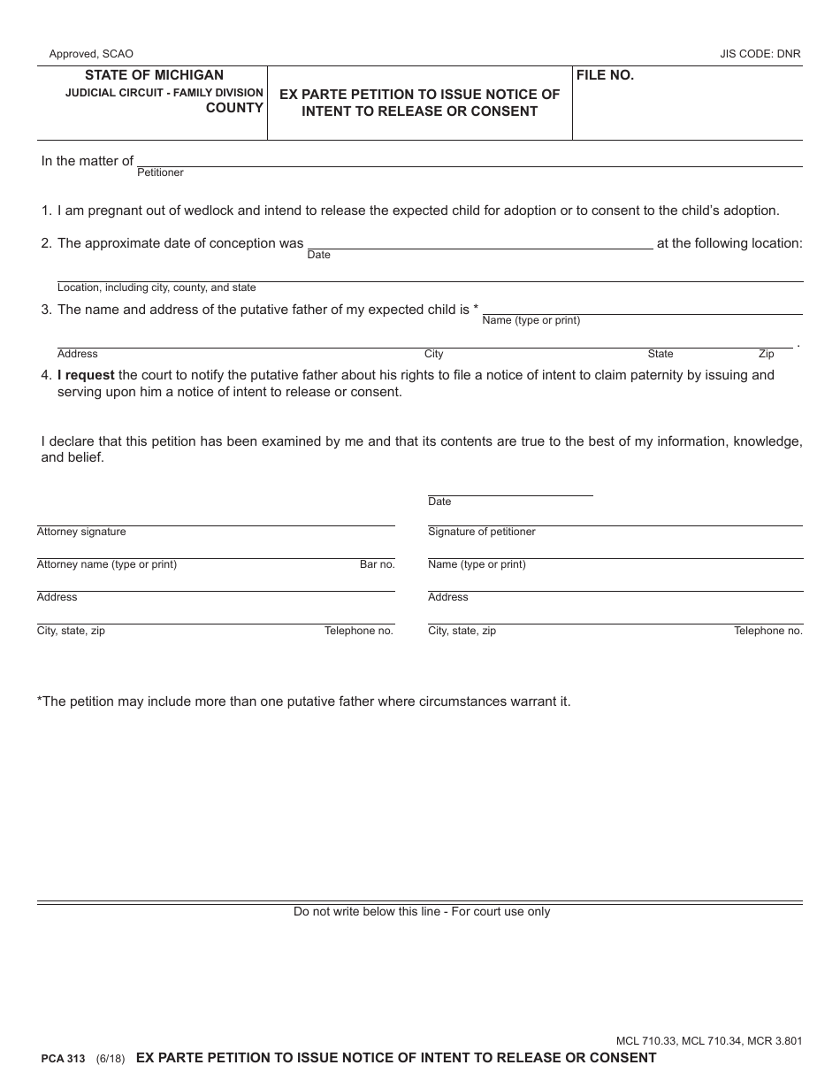 Form PCA313 - Fill Out, Sign Online and Download Fillable PDF, Michigan ...