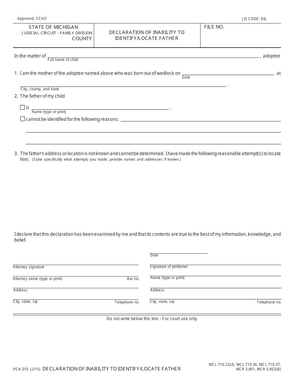 Form PCA315 - Fill Out, Sign Online and Download Fillable PDF, Michigan ...