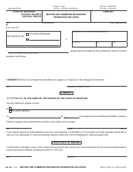 probation summons violation templateroller