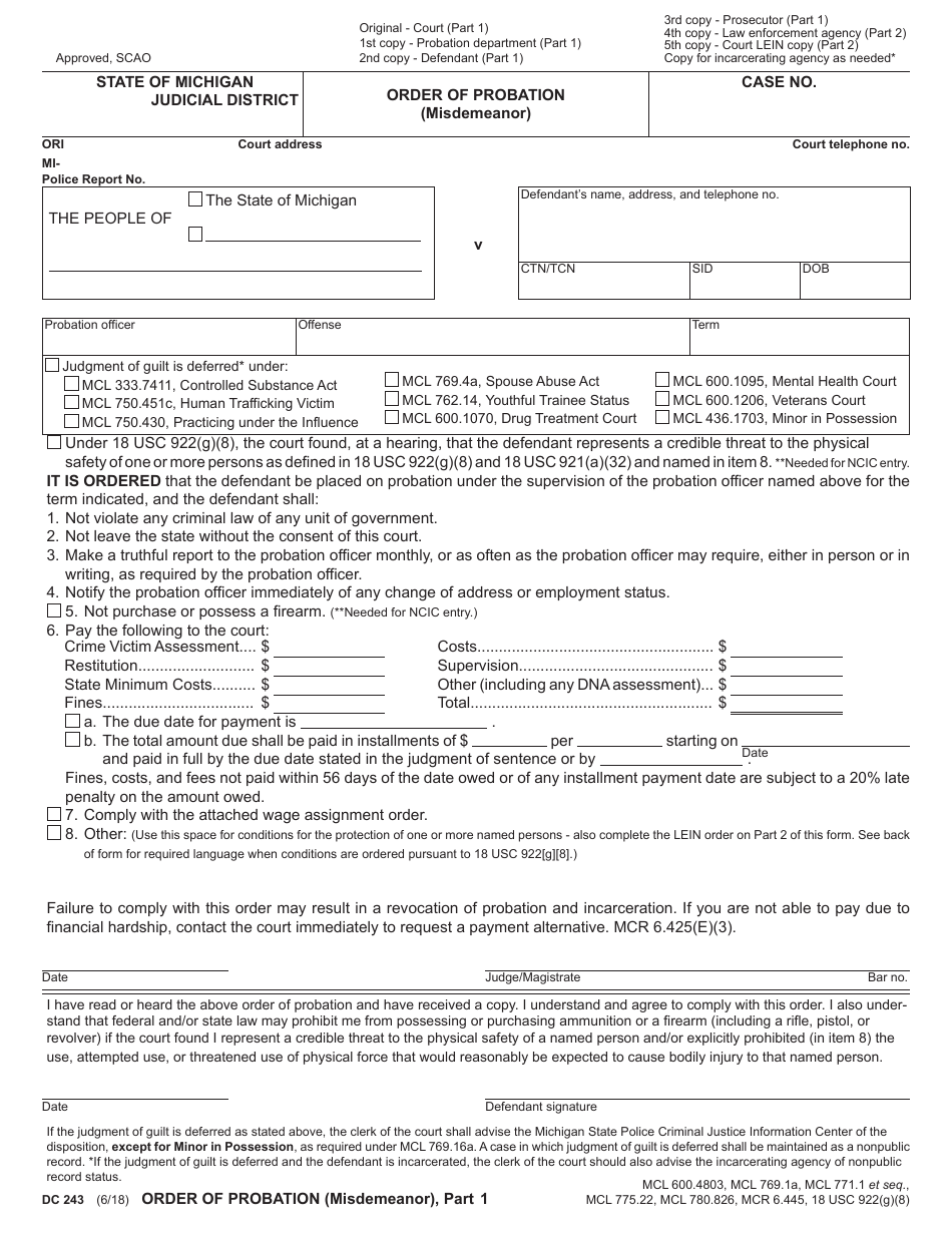 Form DC243 Order of Probation - Michigan, Page 1