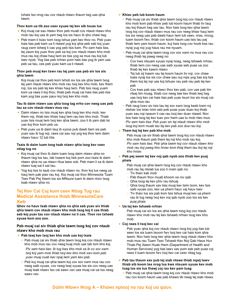 Form DHS-6696-HMN Application for Health Coverage and Help Paying Costs - Minnesota (Hmong), Page 29