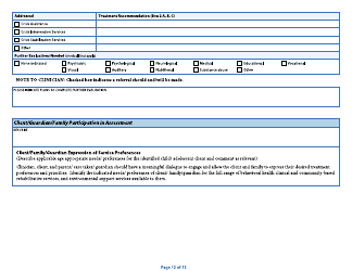Form DHS-5704B-ENG Child/Adolescent Diagnostic Assessment - Part II: Provider - Minnesota, Page 12