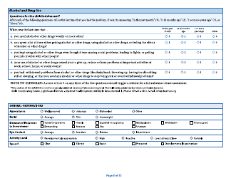 Form DHS-5704B-ENG Child/Adolescent Diagnostic Assessment - Part II: Provider - Minnesota, Page 6