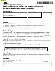 Form DHS-4931-ENG Unreimbursed and/or Uninsured Medical/Dental Expenses Packet - Minnesota, Page 8