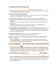Instructions for Form DHS-5148-ENG Behavior Intervention Reporting Form (Birf) - Minnesota, Page 3