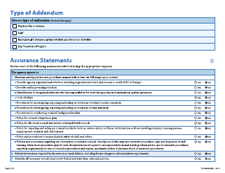 Form DHS-4988-ENG Children&#039;s Therapeutic Services and Supports Addendum - Minnesota, Page 3