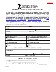 Rehabilitation Provider Complaint Form - Minnesota