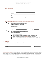 Application for Minnesota CPA Firm Permit - Minnesota, Page 5